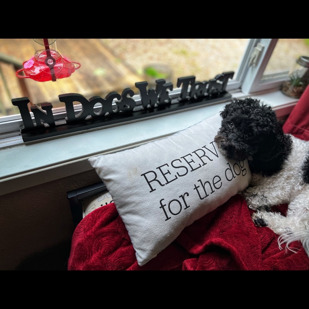 Meet your Posh Ambassador, Susan!